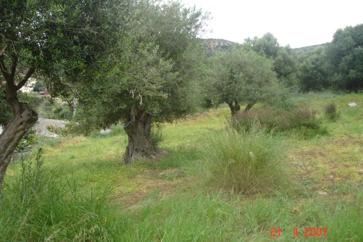 Realty photo 3