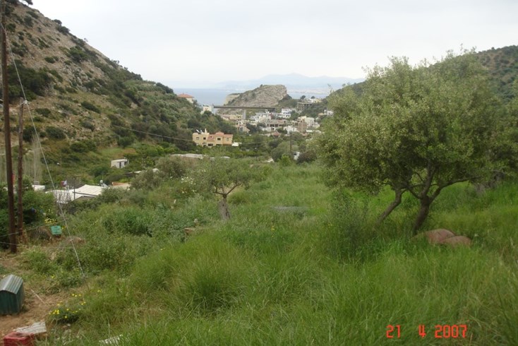Realty photo 2