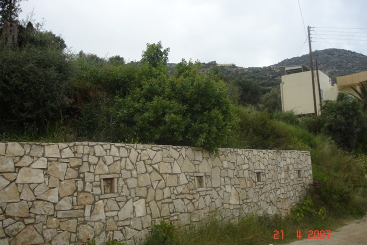 Realty photo 3