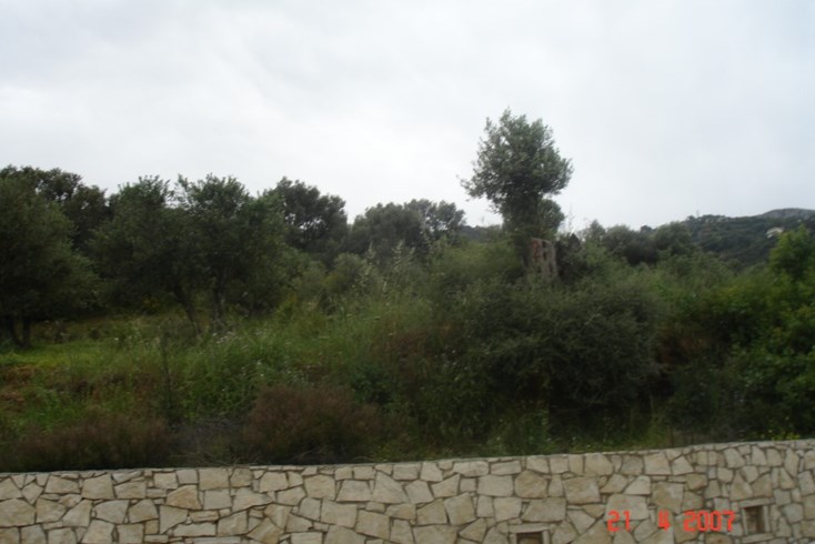 Realty photo 2
