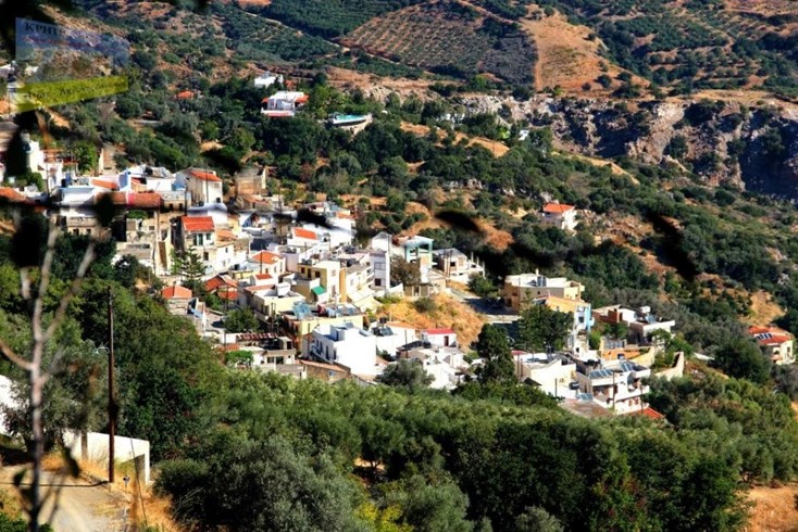 Realty photo 2