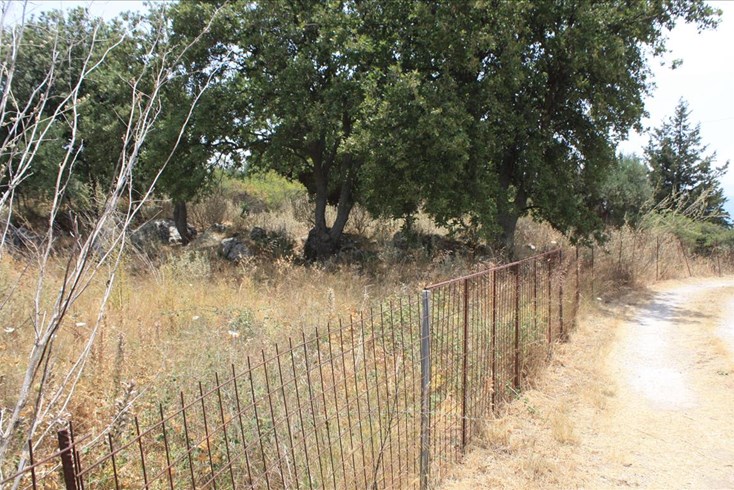 Realty photo 3