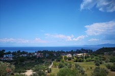 Property 39459 photo 6