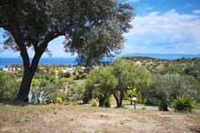 Property 39459 photo 5