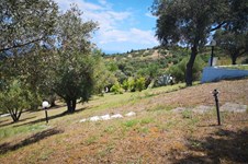 Property 39459 photo 35