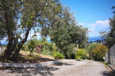 Property 39459 photo 37