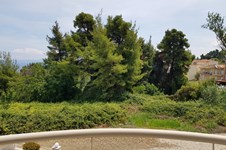 Property 39464 photo 13