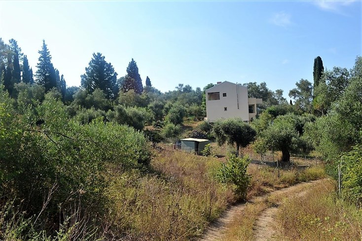 Realty photo 2