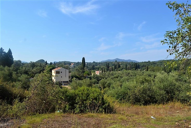 Realty photo 1