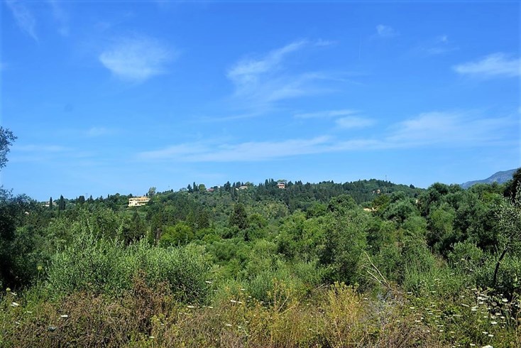 Realty photo 3