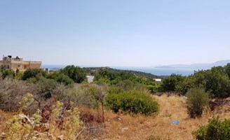 Γη 6000 μ² στην Κρήτη