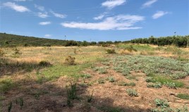Land 5301 m² auf Sithonia (Chalkidiki)