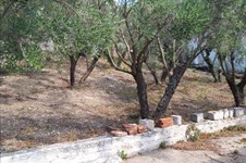 Property 39568 photo 13