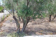 Property 39568 photo 12