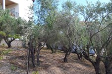 Property 39568 photo 8