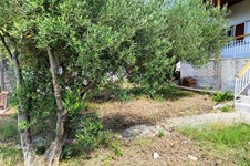 Property 39568 photo 10
