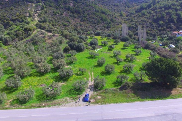 Realty photo 2