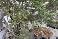 Property 39615 photo 6