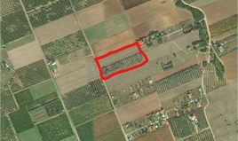 Zemljište 8750 m² na Halkidikiju