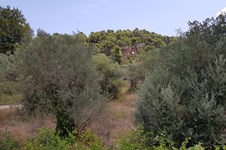 Property 39717 photo 20
