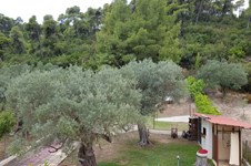 Property 39717 photo 25