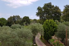 Property 39717 photo 32