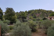 Property 39717 photo 33