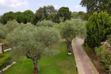 Property 39717 photo 35