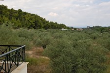 Property 39717 photo 36