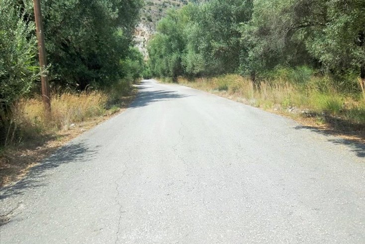 Realty photo 2