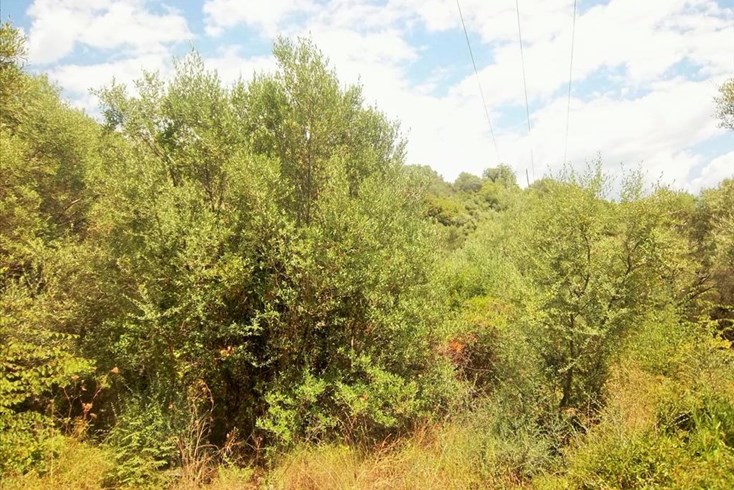 Realty photo 3