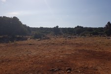 Property 39765 photo 3