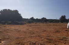 Property 39765 photo 1