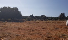 Land 5000 m² auf Kreta