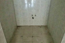 Property 39773 photo 6
