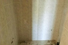 Property 39773 photo 7