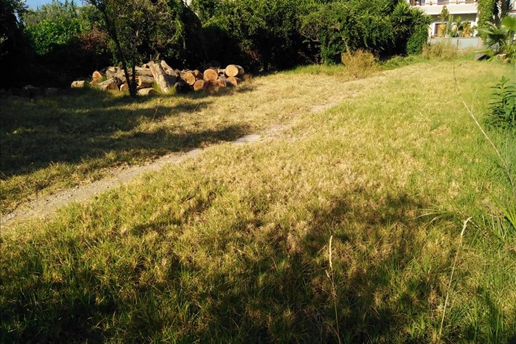 Realty photo 2