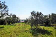 Property 39788 photo 1