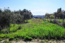 Property 39788 photo 2