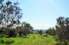 Property 39788 photo 3