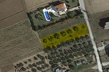 Property 39788 photo 4
