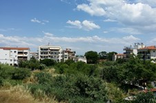 Property 39790 photo 22