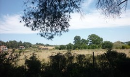 Land 4248 m² auf Kassandra (Chalkidiki)