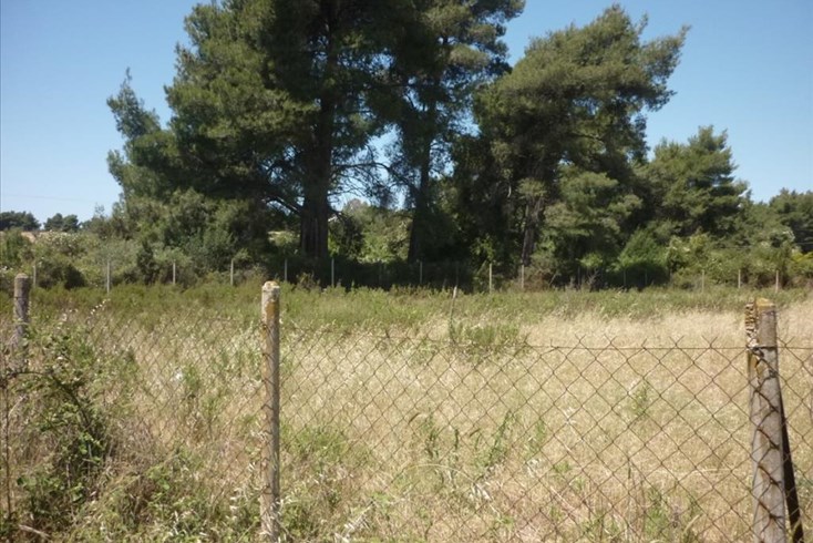 Realty photo 2