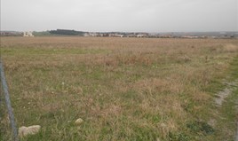 Land 4037 m² in Chalkidiki
