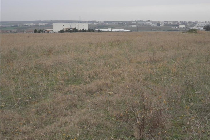 Realty photo 3