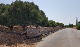 Terrain 3000 m² en Crète