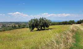 Земельна ділянка 10125 m² на Кассандрі (Халкідіки)