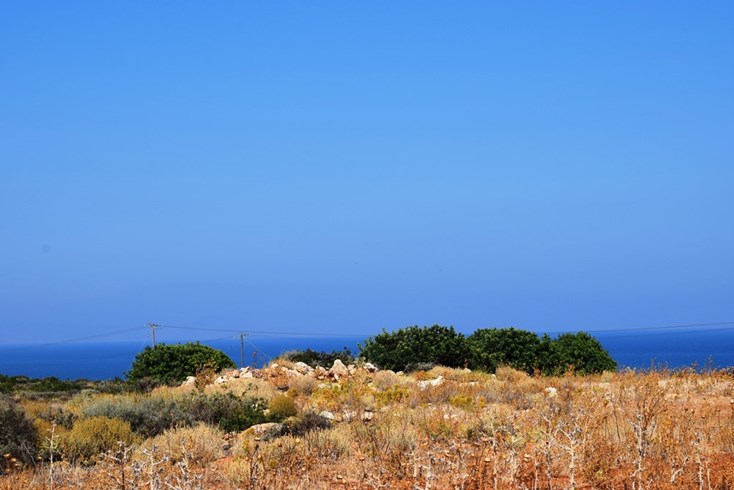 Realty photo 2
