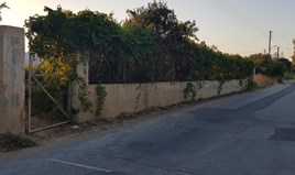 Land 2577 m² auf Kreta